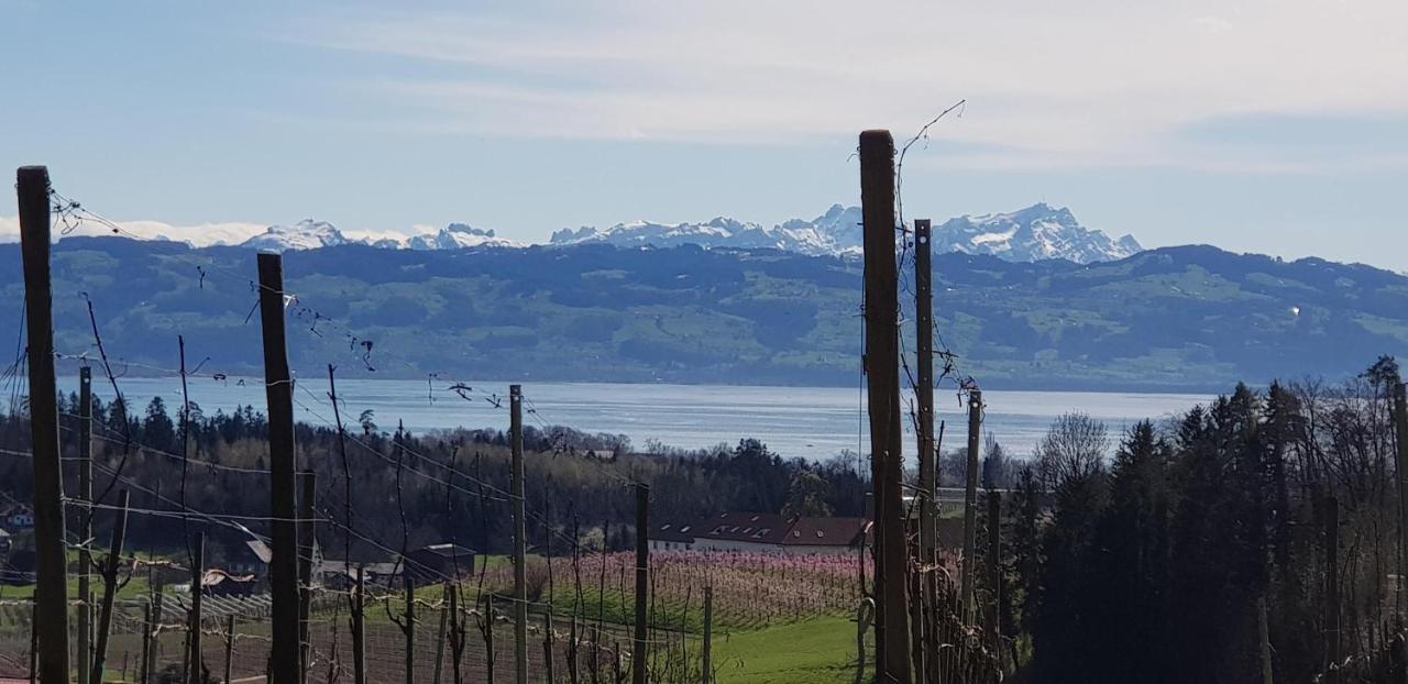 Alpenblick 3 Apartman Bodolz Kültér fotó